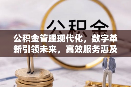 桥东公积金管理现代化，数字革新引领未来，高效服务惠及民生